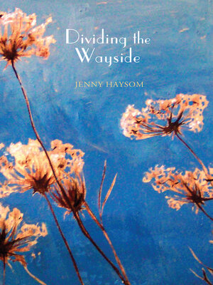 cover image of Dividing the Wayside